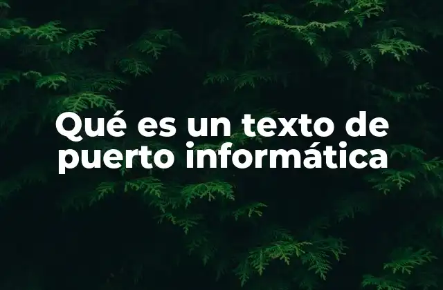 Qué es un Texto de Puerto Informática