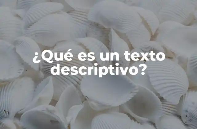 ¿qué es un Texto Descriptivo?