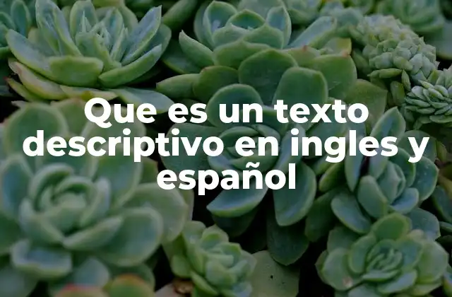 Que es un Texto Descriptivo en Ingles y Español