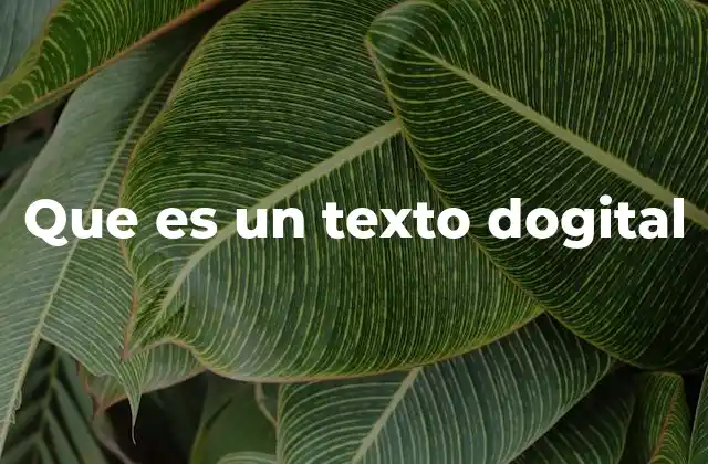 Que es un Texto Dogital