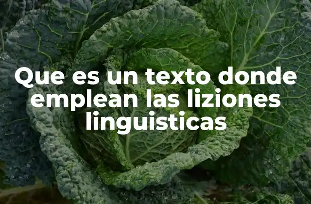 Que es un Texto Donde Emplean las Liziones Linguisticas