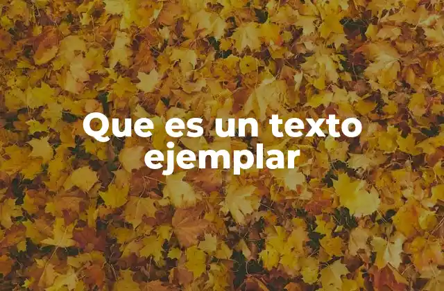 Que es un Texto Ejemplar