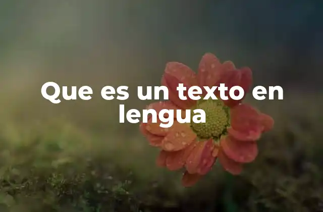 Que es un Texto en Lengua