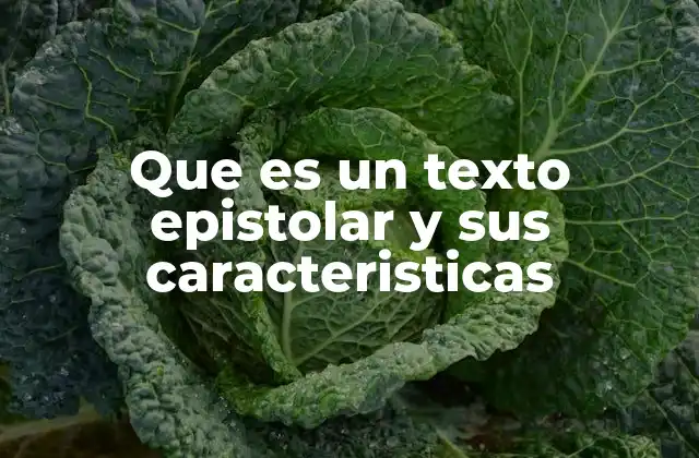 Que es un Texto Epistolar y Sus Caracteristicas