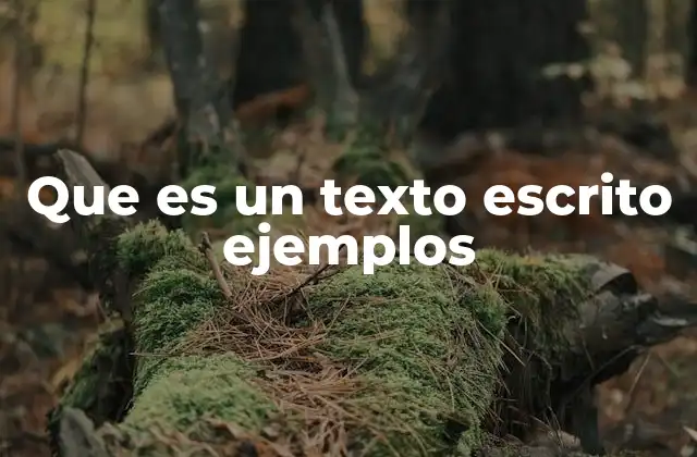 Que es un Texto Escrito Ejemplos