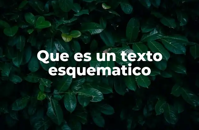 Que es un Texto Esquematico