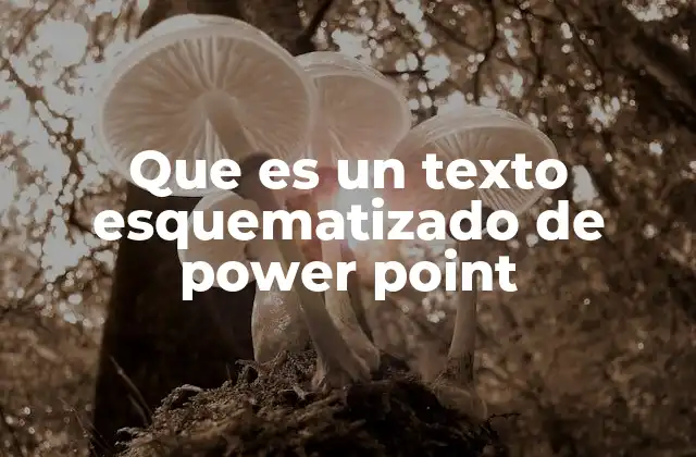 Que es un Texto Esquematizado de Power Point 2 La importancia de la claridad visual en las presentaciones