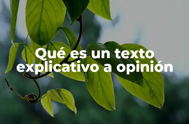 Características de un texto que combina explicación y opinión