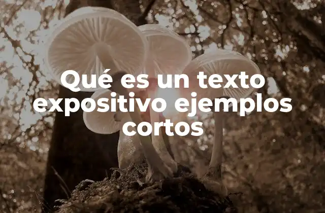 Qué es un Texto Expositivo Ejemplos Cortos