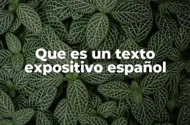 Que es un Texto Expositivo Español