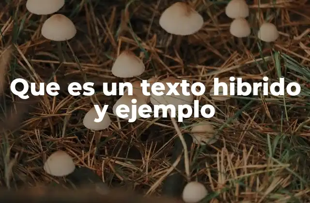 Que es un Texto Hibrido y Ejemplo