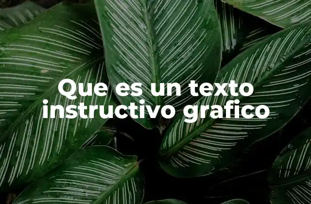 Que es un Texto Instructivo Grafico