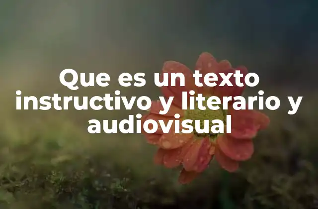 Que es un Texto Instructivo y Literario y Audiovisual