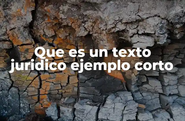 Que es un Texto Juridico Ejemplo Corto 2 Características de los textos legales