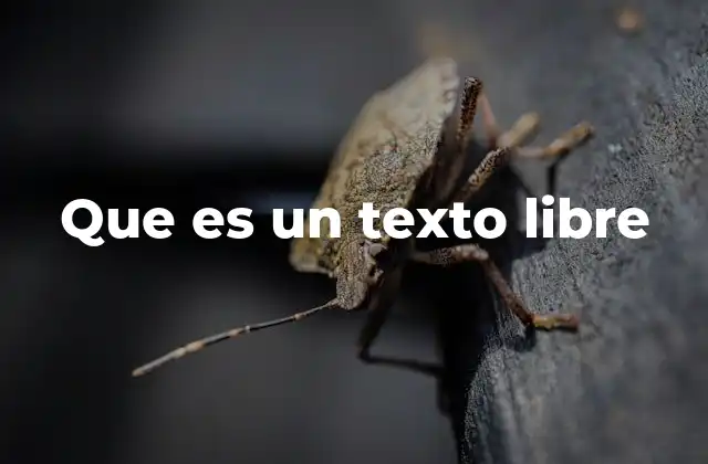 Que es un Texto Libre