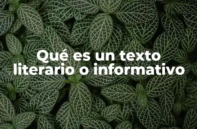 Qué es un Texto Literario o Informativo