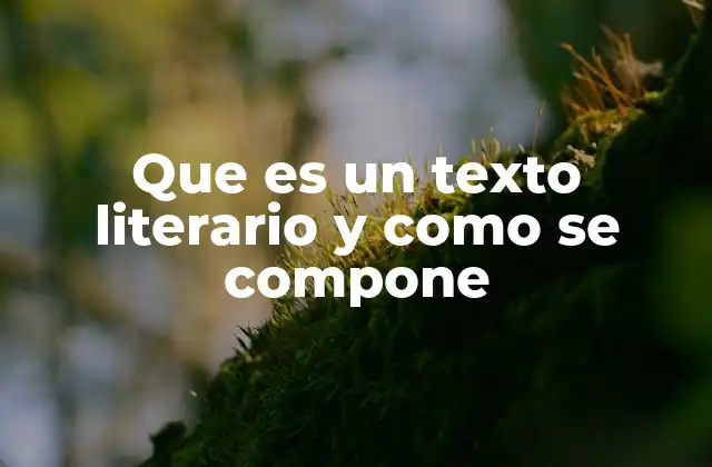 Que es un Texto Literario y como Se Compone