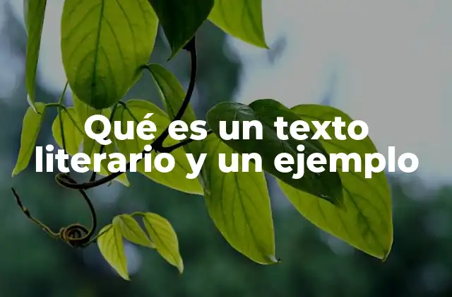 Qué es un Texto Literario y un Ejemplo