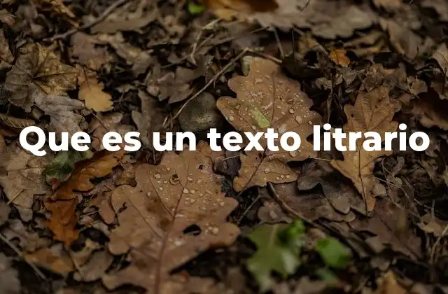 Que es un Texto Litrario