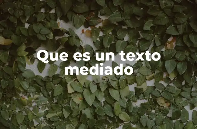 Que es un Texto Mediado