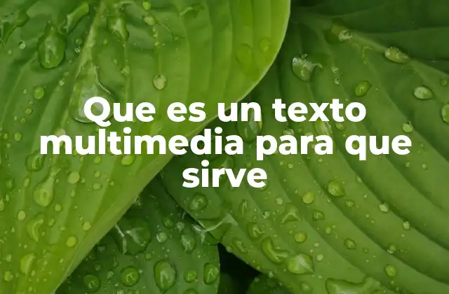 Que es un Texto Multimedia para que Sirve