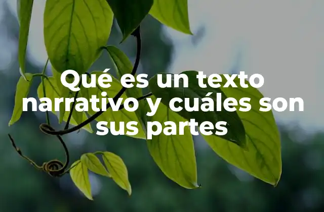Qué es un Texto Narrativo y Cuáles Son Sus Partes