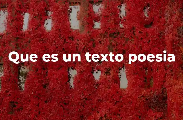 Que es un Texto Poesia