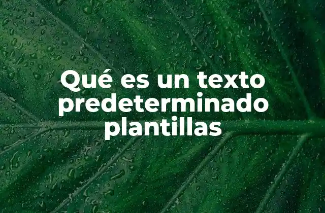 Qué es un Texto Predeterminado Plantillas 2 La utilidad de los textos predeterminados en la productividad