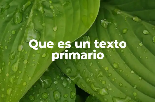 Que es un Texto Primario