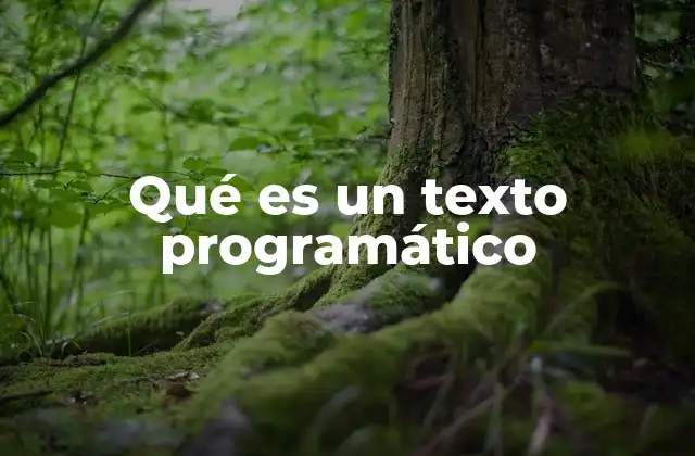 Qué es un Texto Programático
