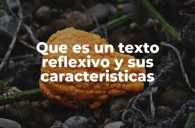 Que es un Texto Reflexivo y Sus Caracteristicas