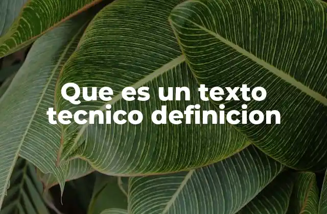 Que es un Texto Tecnico Definicion