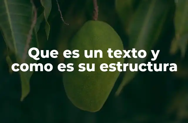 Que es un Texto y como es Su Estructura
