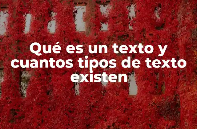 Qué es un Texto y Cuantos Tipos de Texto Existen
