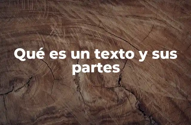 Qué es un Texto y Sus Partes