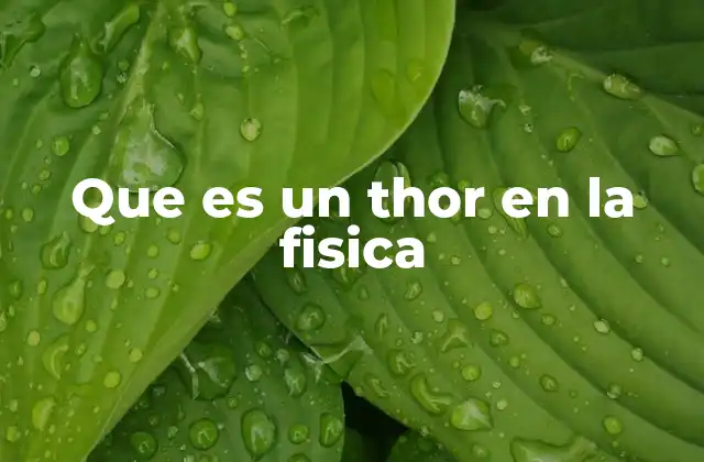 Que es un Thor en la Fisica