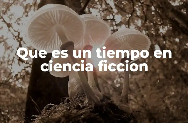 Que es un Tiempo en Ciencia Ficcion