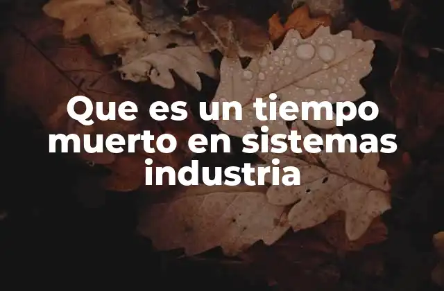 Que es un Tiempo Muerto en Sistemas Industria