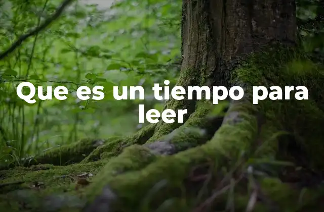 Que es un Tiempo para Leer