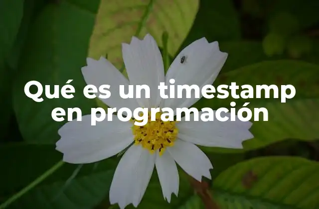 Qué es un Timestamp en Programación
