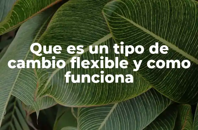 Que es un Tipo de Cambio Flexible y como Funciona