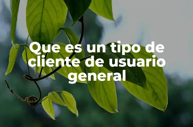 Que es un Tipo de Cliente de Usuario General 2 El rol del usuario general en el diseño de productos digitales