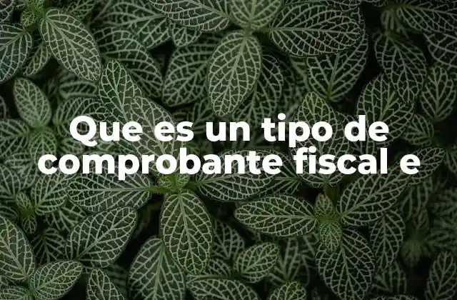 Que es un Tipo de Comprobante Fiscal e 2 La importancia de los comprobantes fiscales en el entorno digital