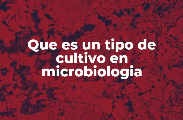 Que es un Tipo de Cultivo en Microbiologia