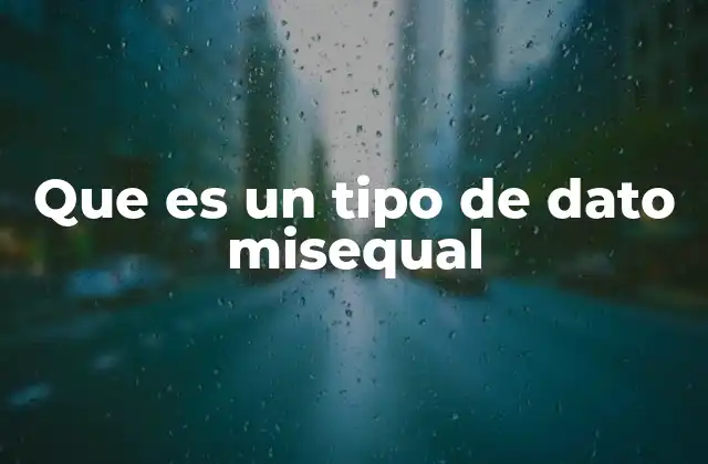 Que es un Tipo de Dato Misequal