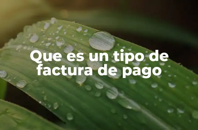 Que es un Tipo de Factura de Pago