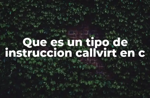 Que es un Tipo de Instruccion Callvirt en C