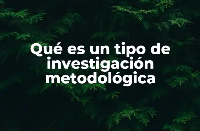 Qué es un Tipo de Investigación Metodológica