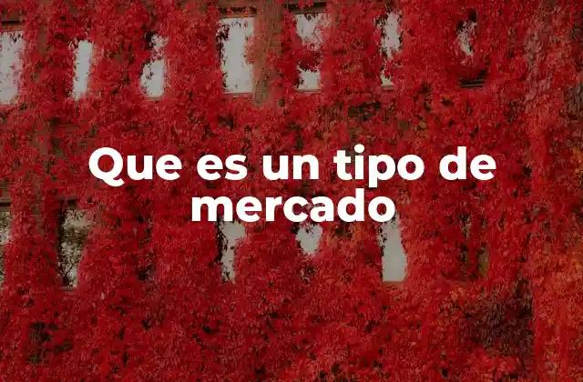 Que es un Tipo de Mercado