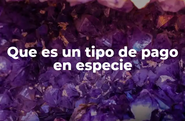 Que es un Tipo de Pago en Especie
